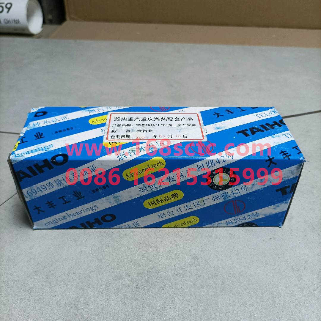 61560010029*