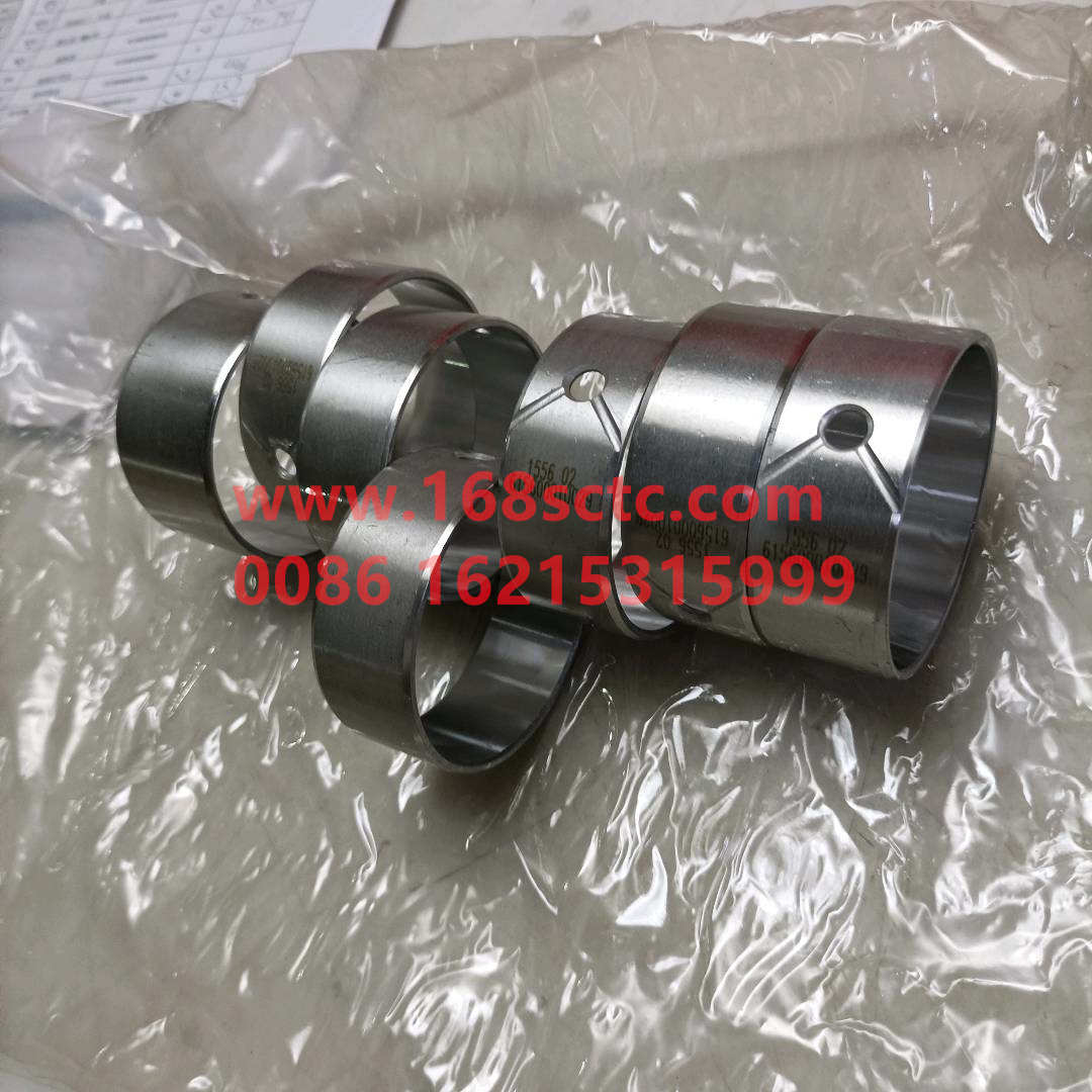 61560010029*