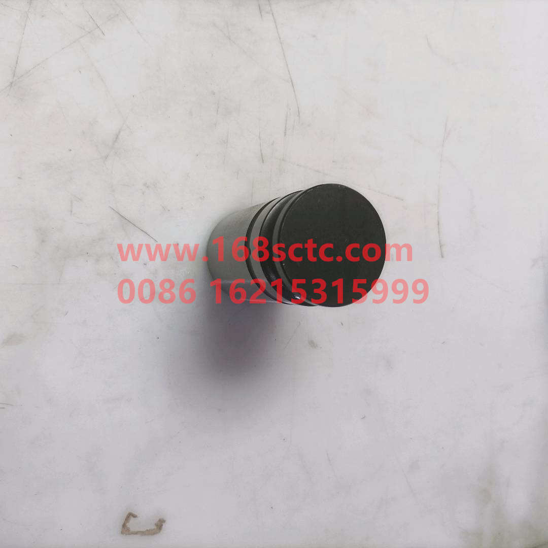 61500050032