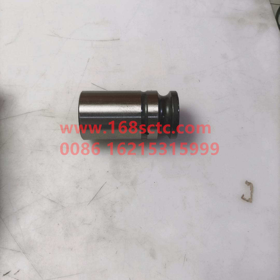 61500050032