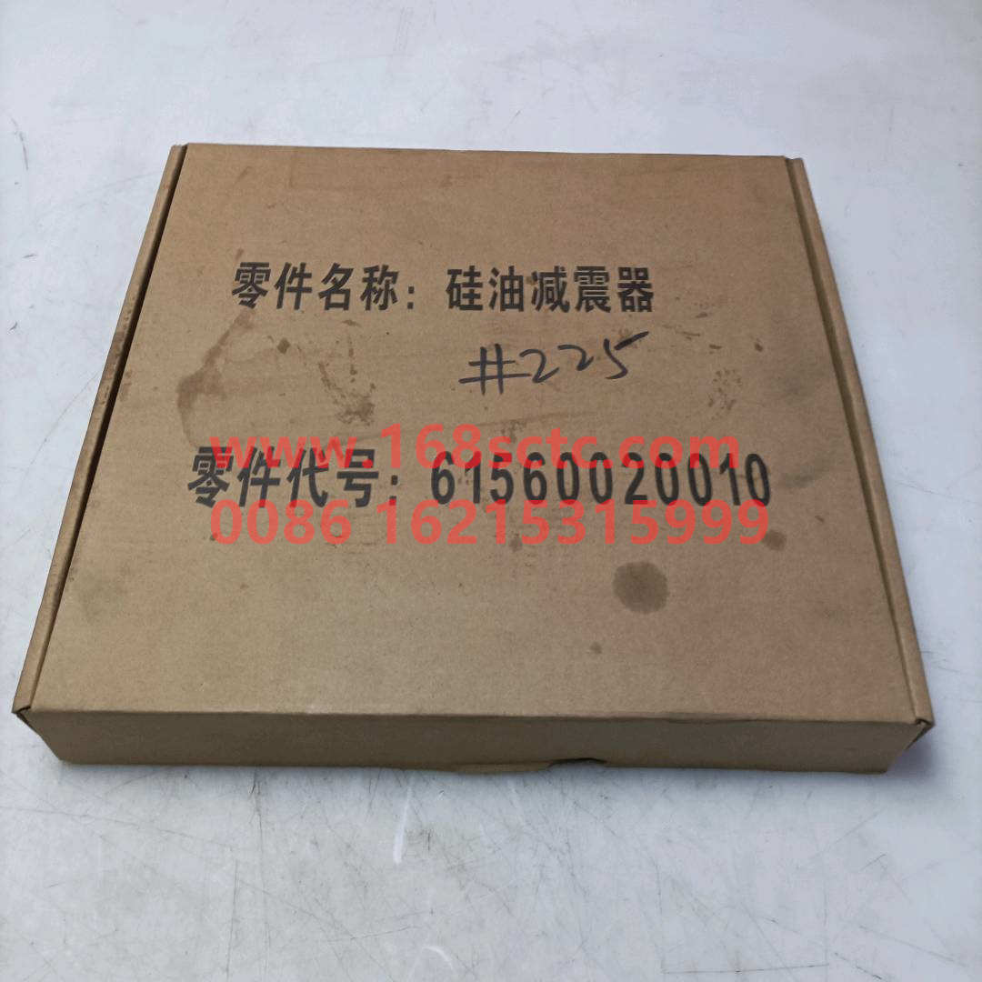 61560020010