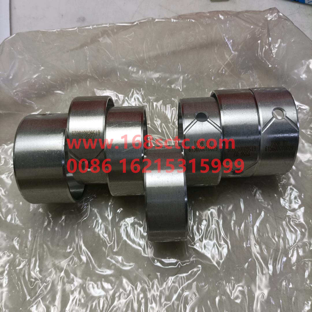 61560010029*