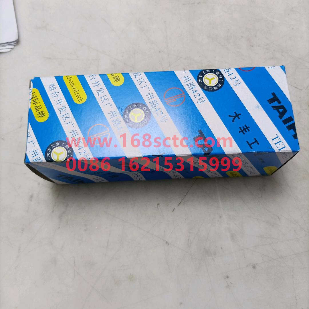 61560010029*