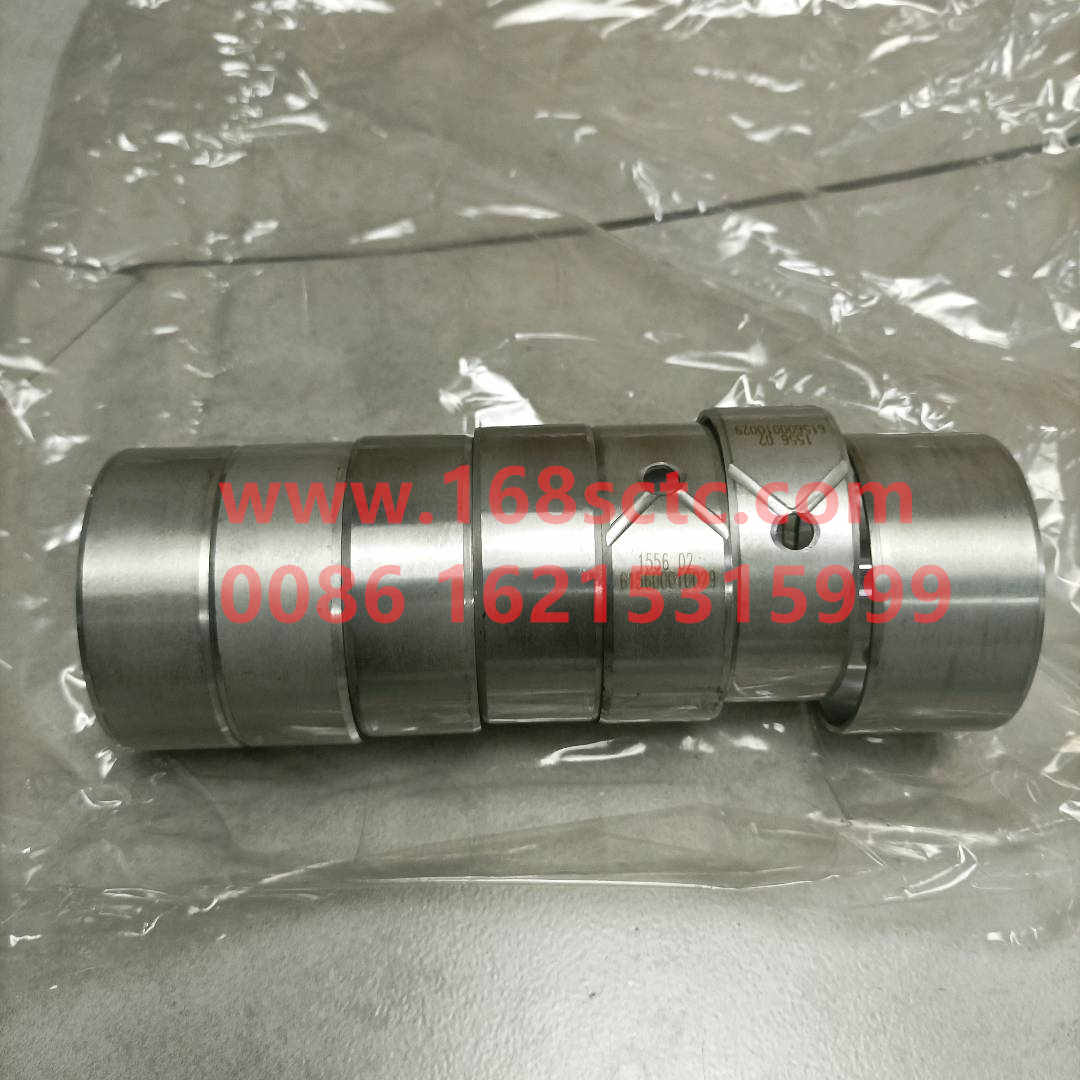 61560010029*