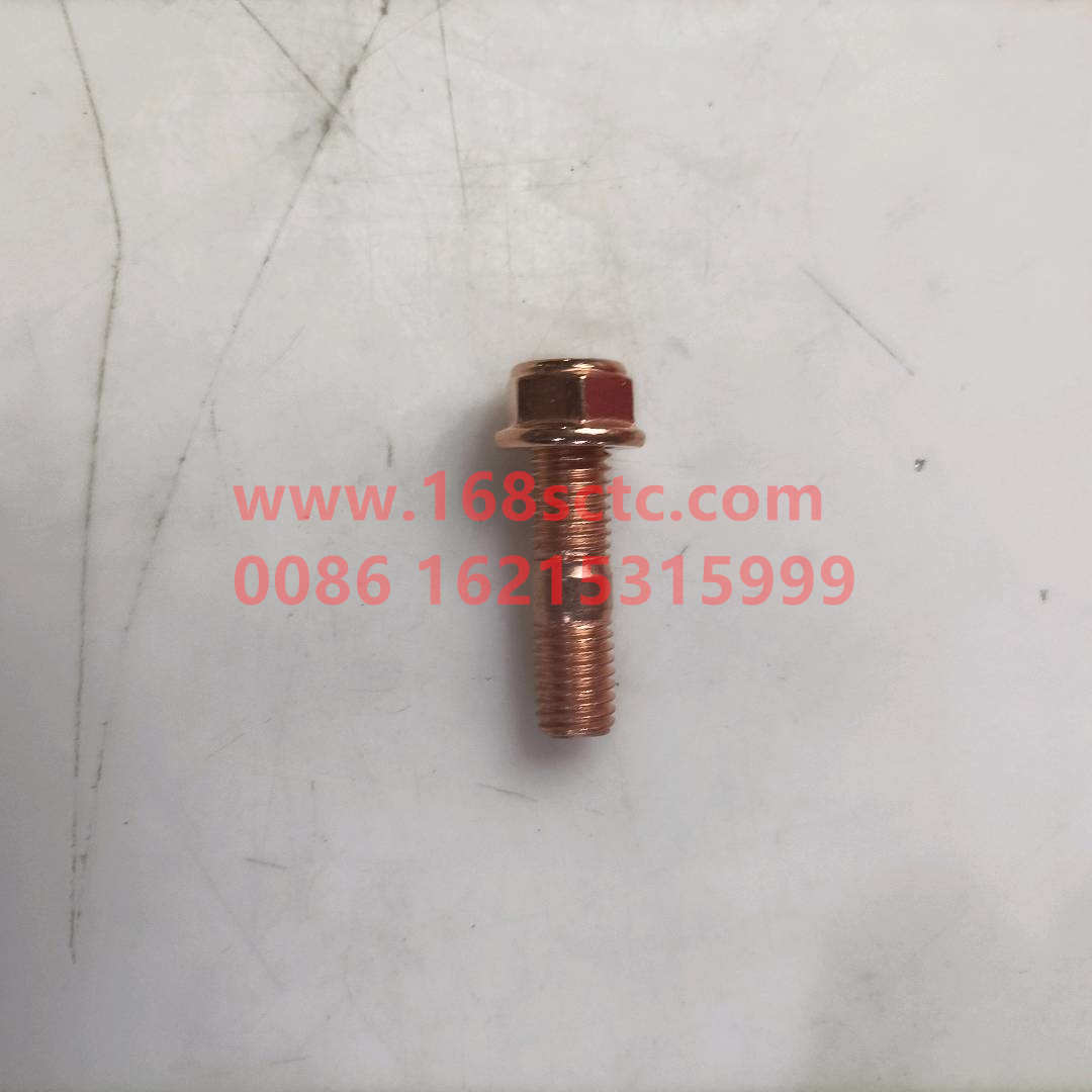 81560110187