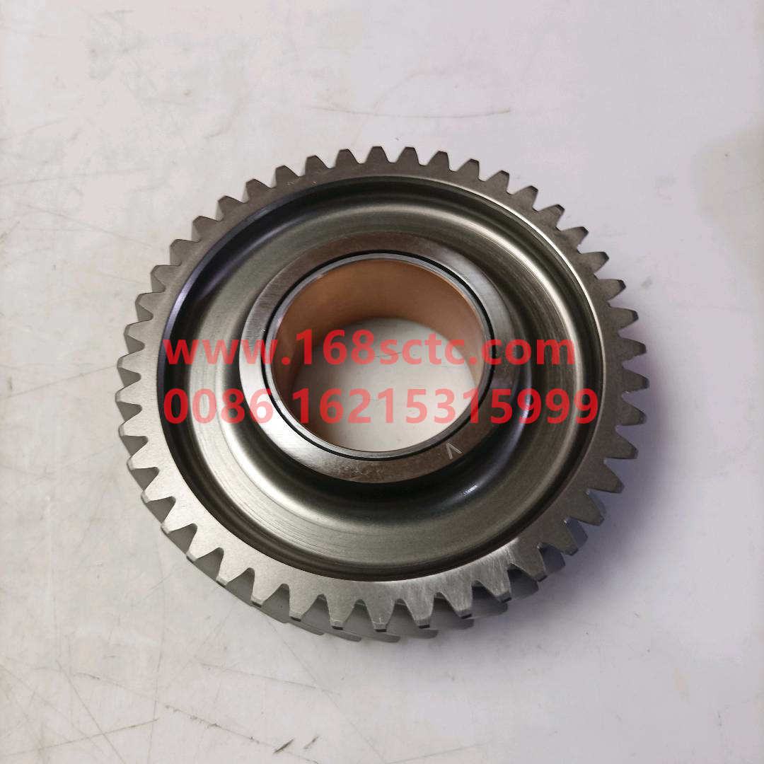 61560050053