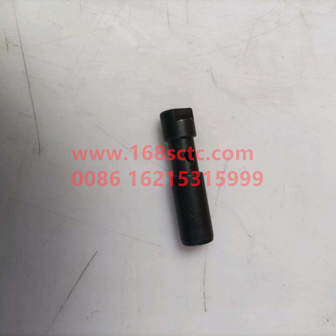 61560050058