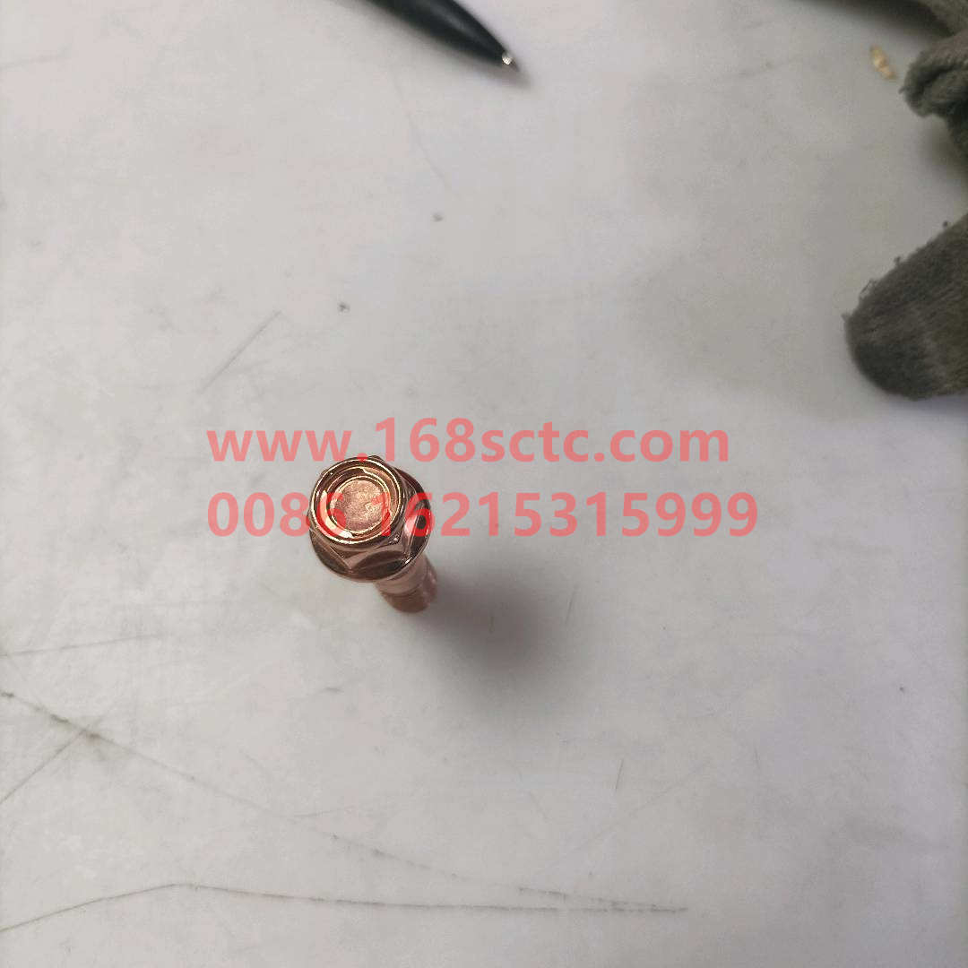 81560110187