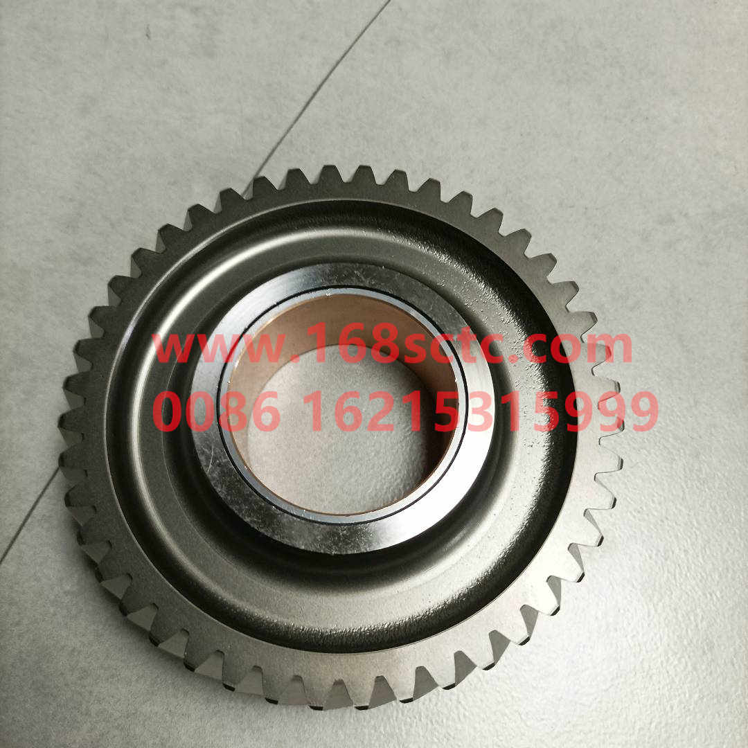 61560050053