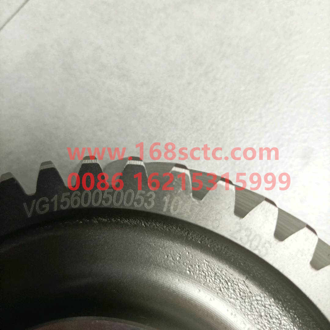 61560050053