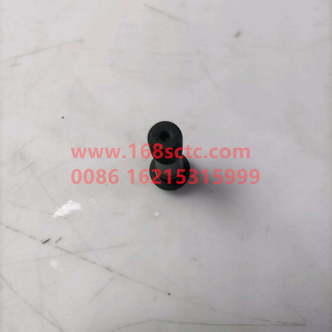 81500030023
