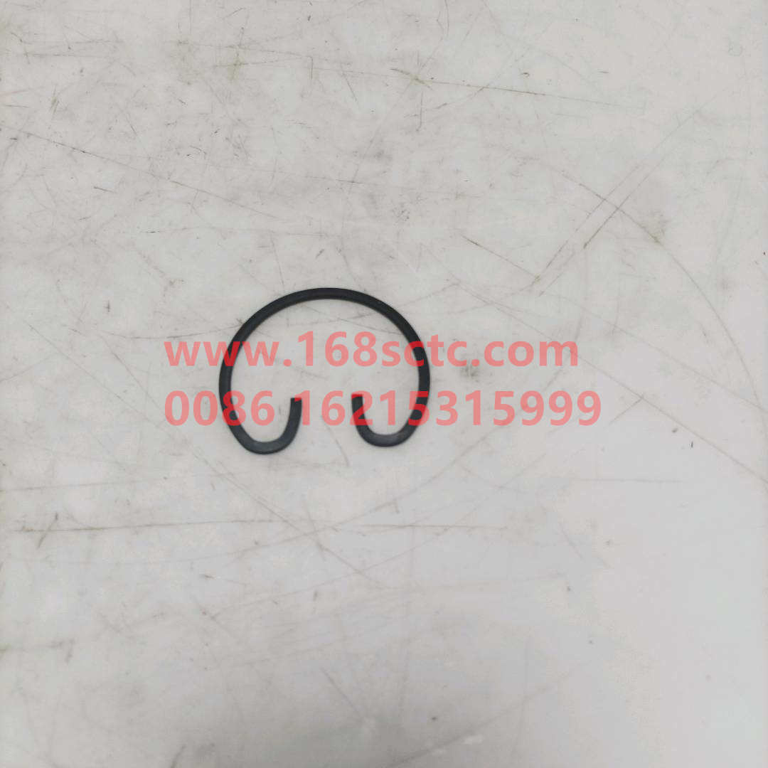 81560030012