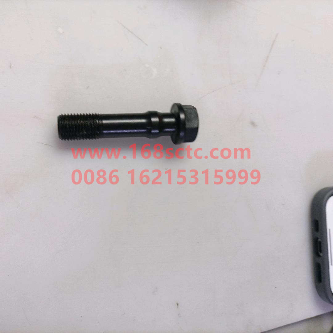 81500030023