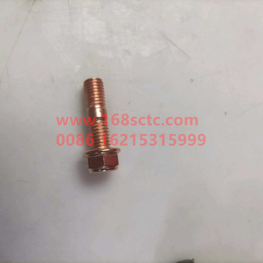 81560110187