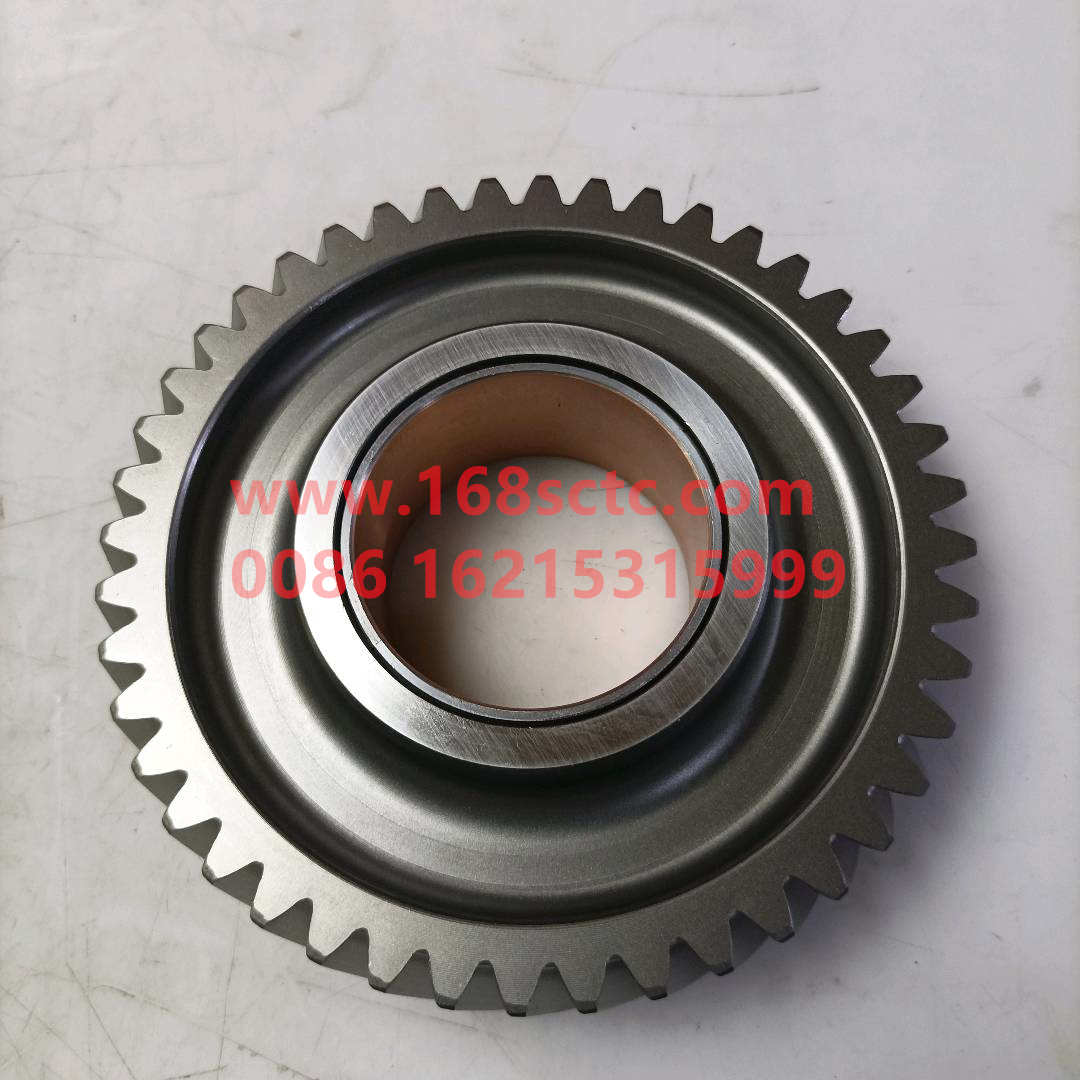 61560050053
