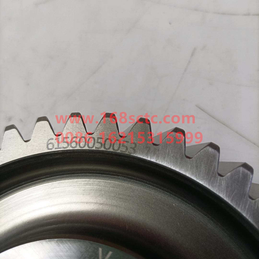 61560050053