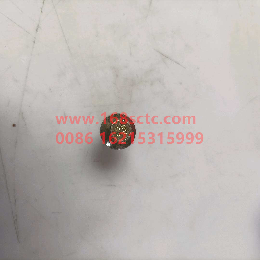 90011430016S