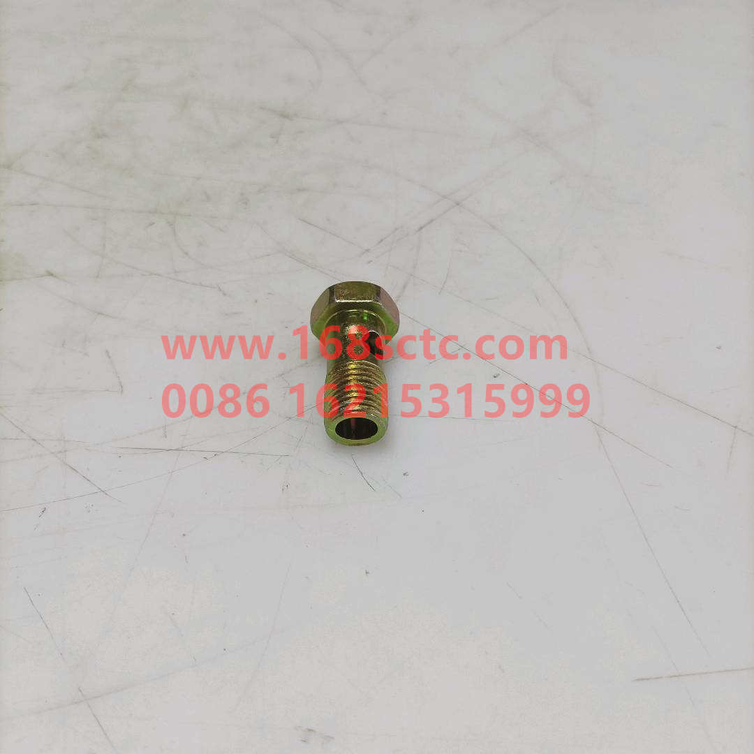 Hollow bolt A8D076236SZN