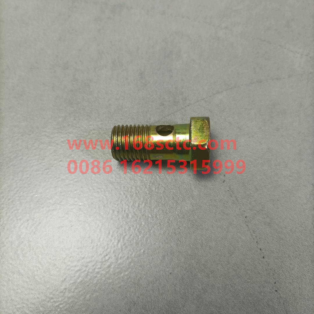 Hollow bolt A8D076236SZN