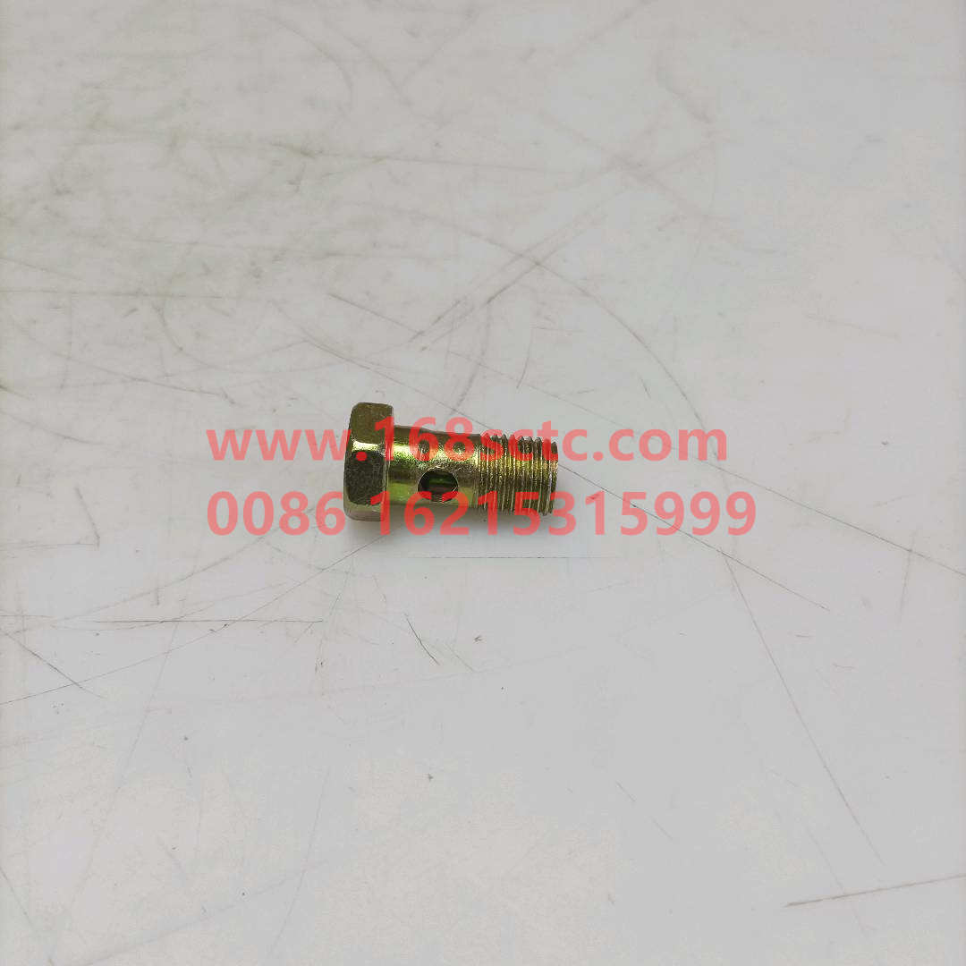 Hollow bolt A8D076236SZN