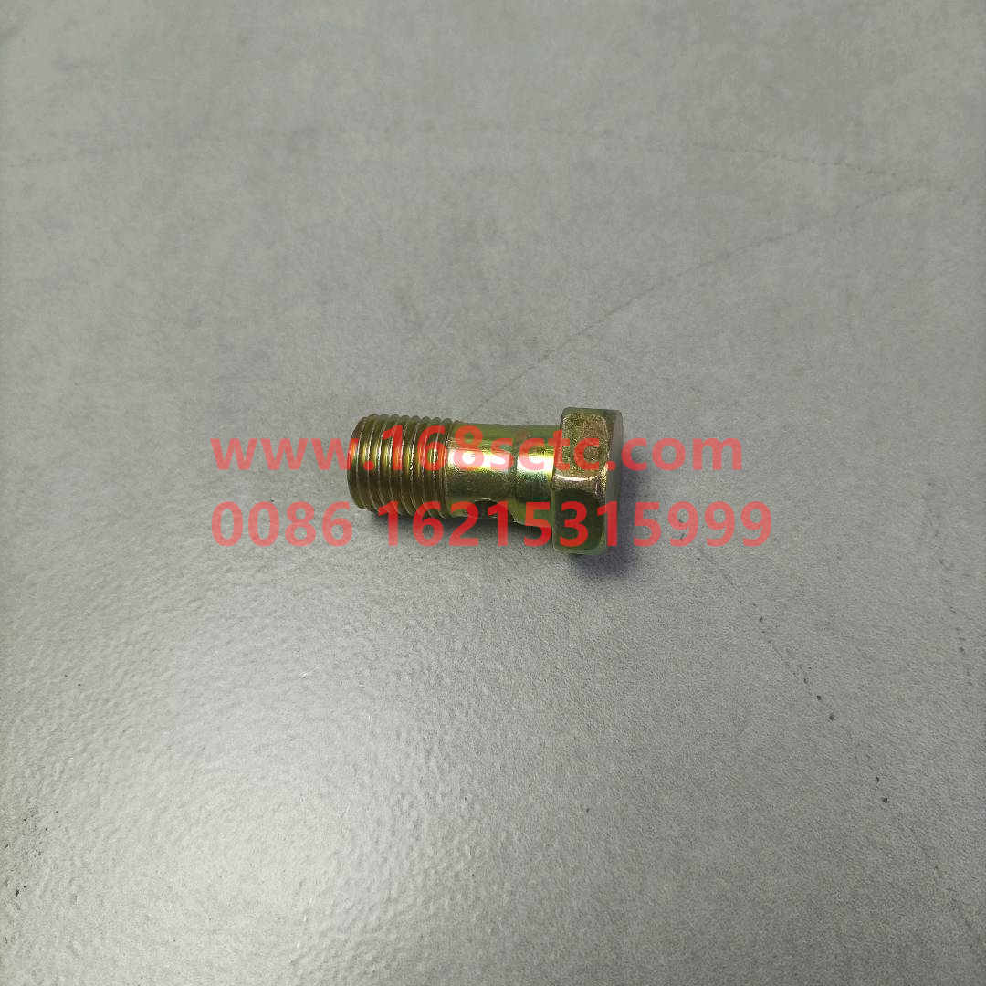 Hollow bolt A8D076236SZN
