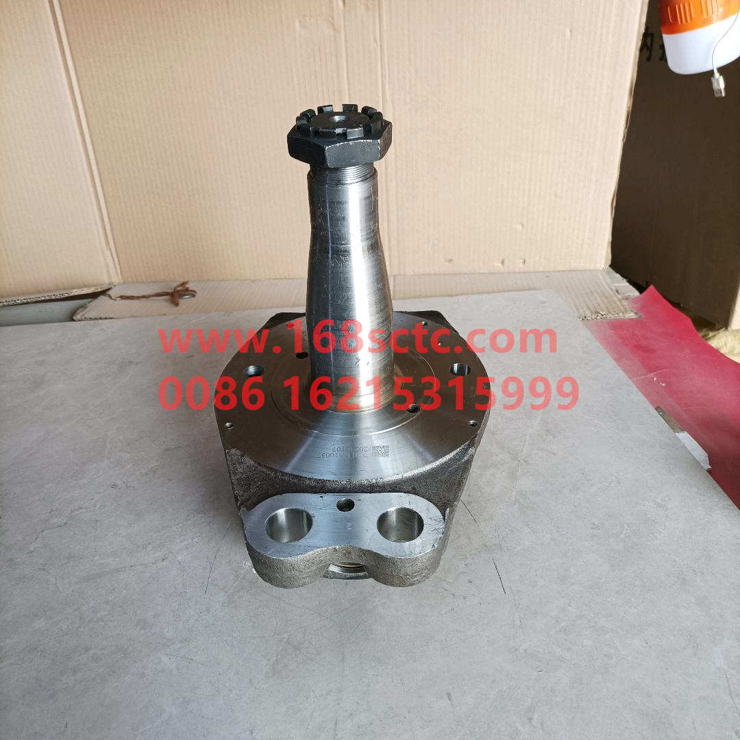 Steering knuckle assembly left