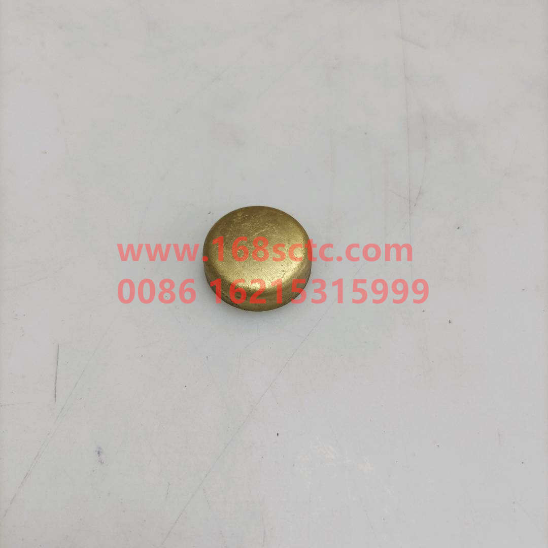 190003989721