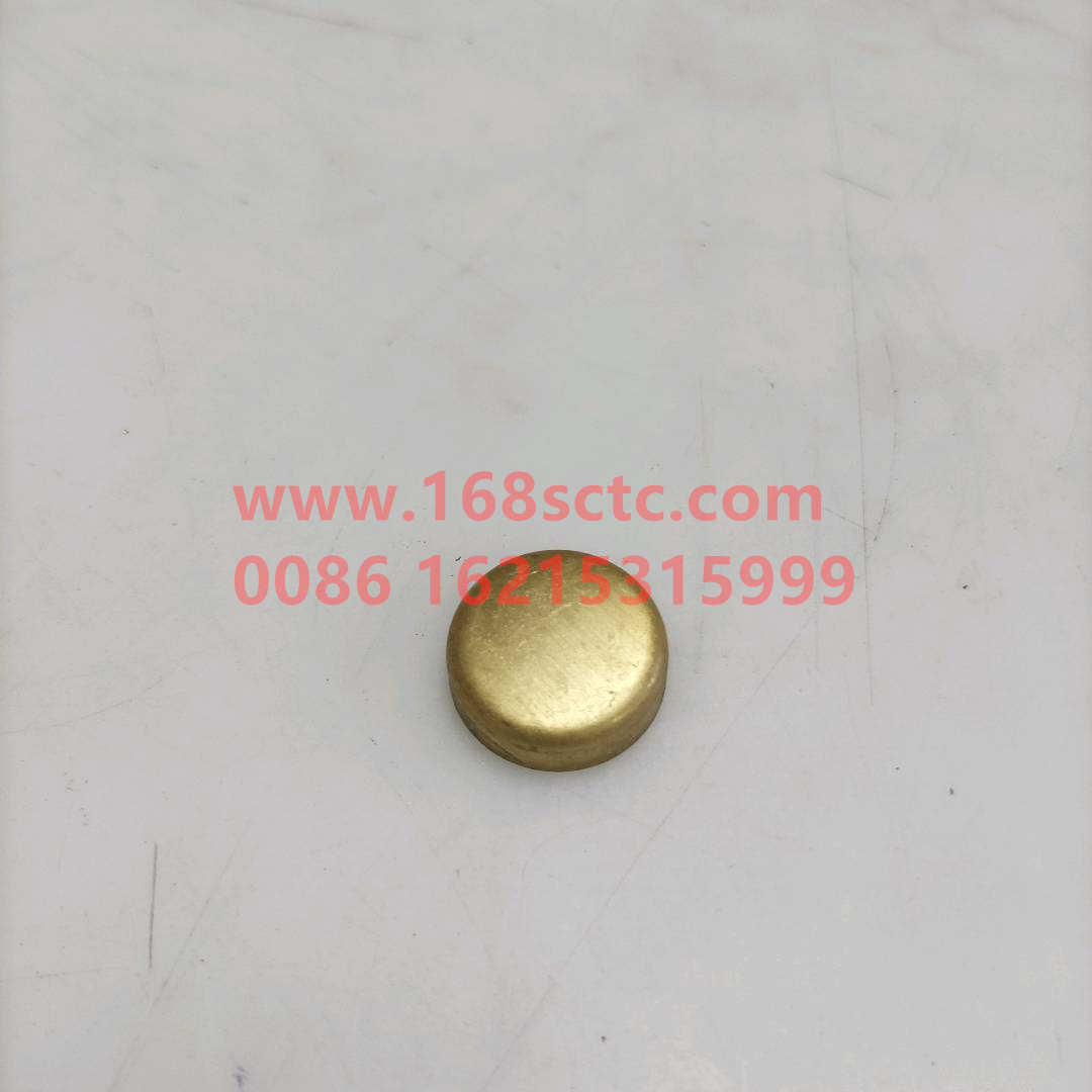 190003989721
