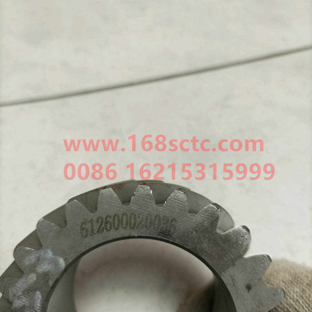 612600020036*
