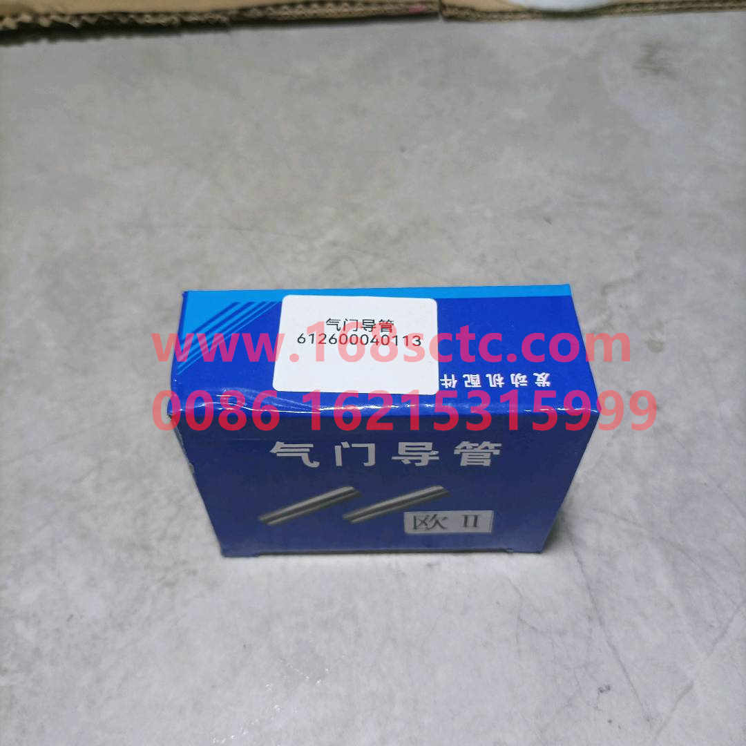 612600040113
