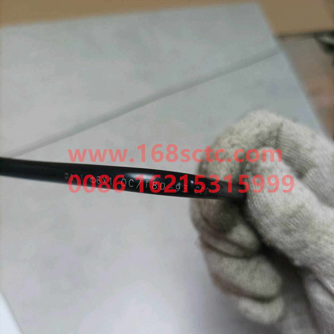 612600082529