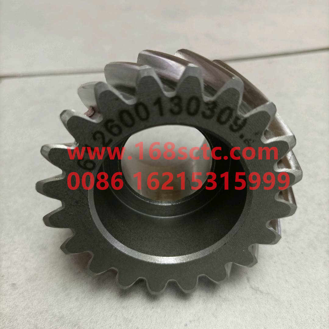 612600130309