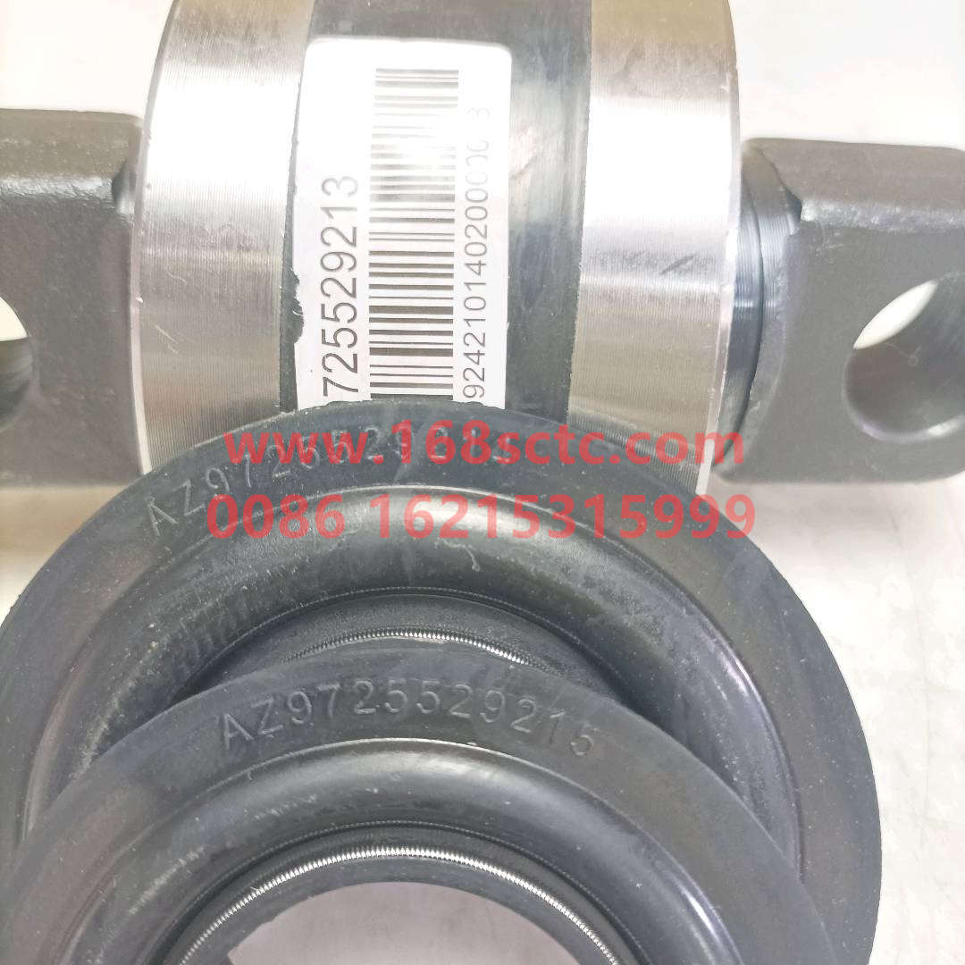 AZ9725529213.