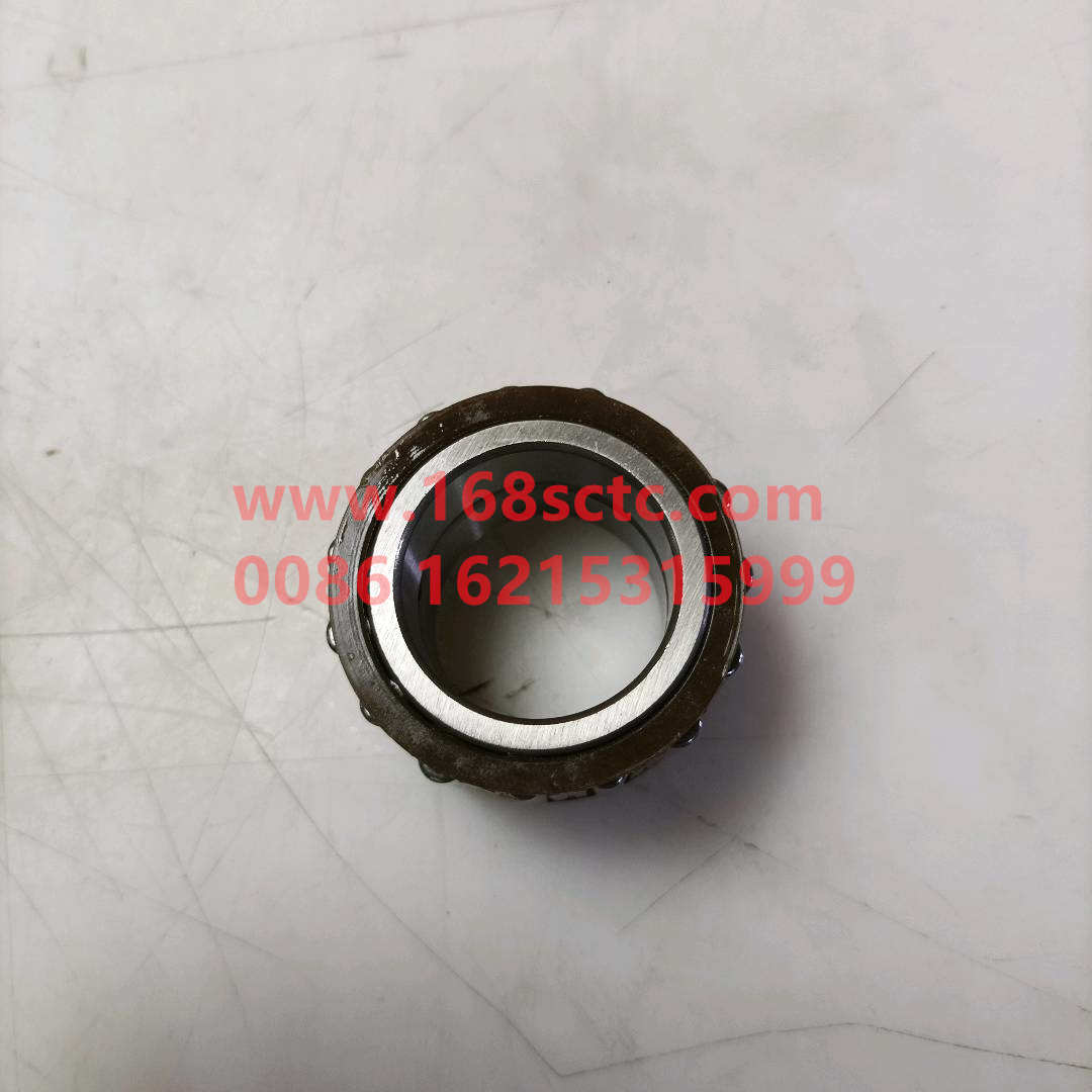 DS100-1701085