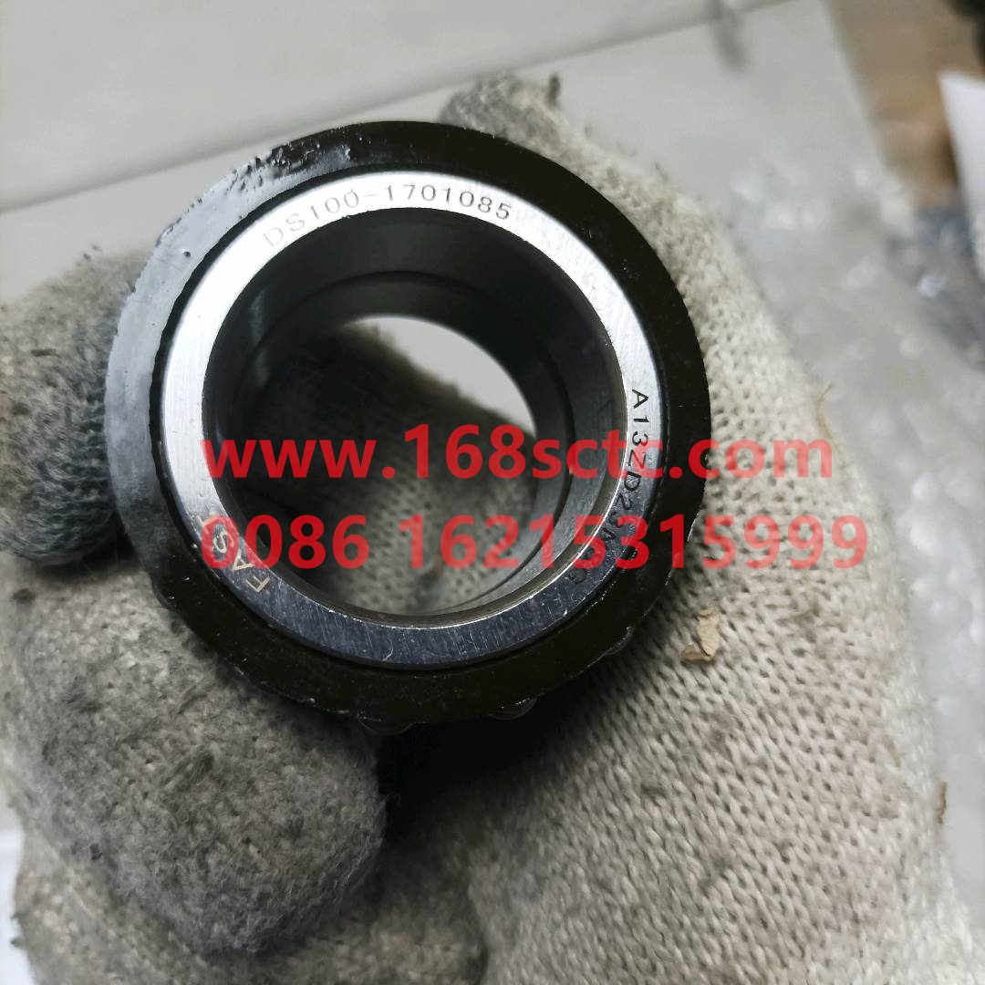 DS100-1701085