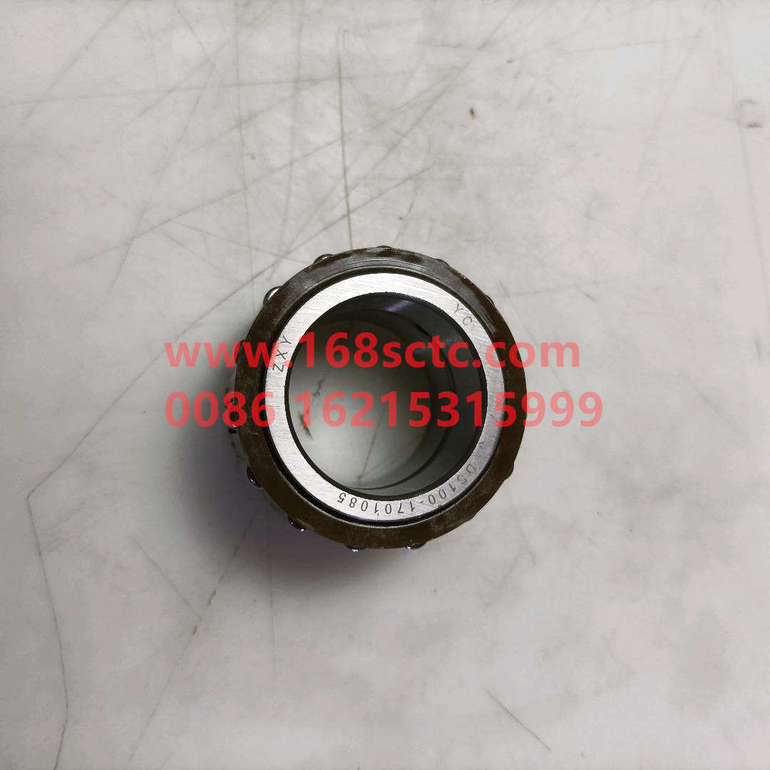 DS100-1701085