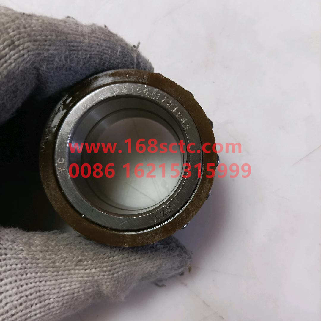 DS100-1701085