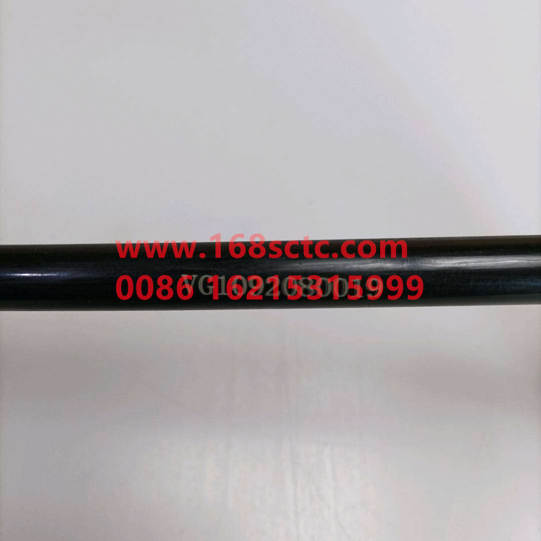 VG1092080019