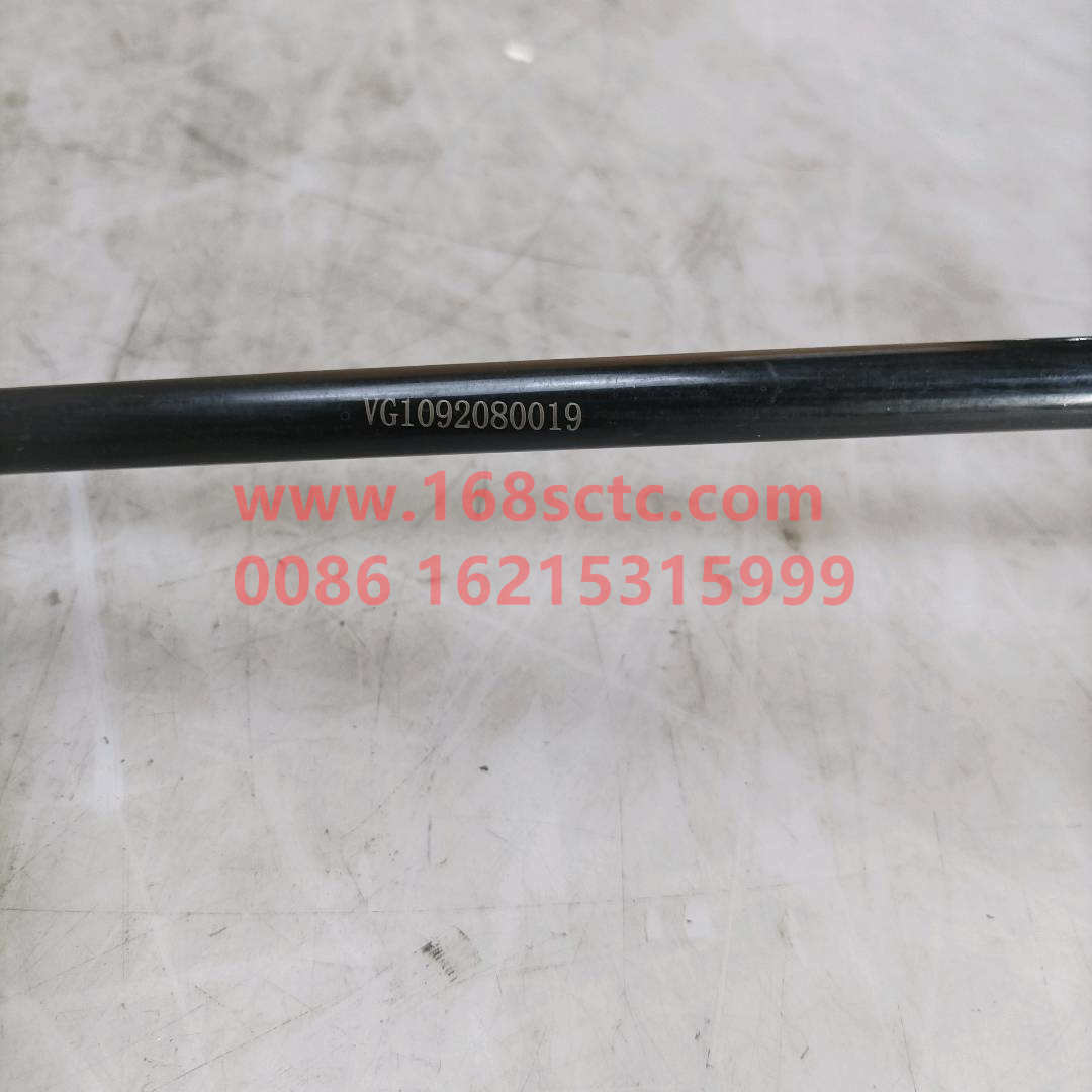 VG1092080019