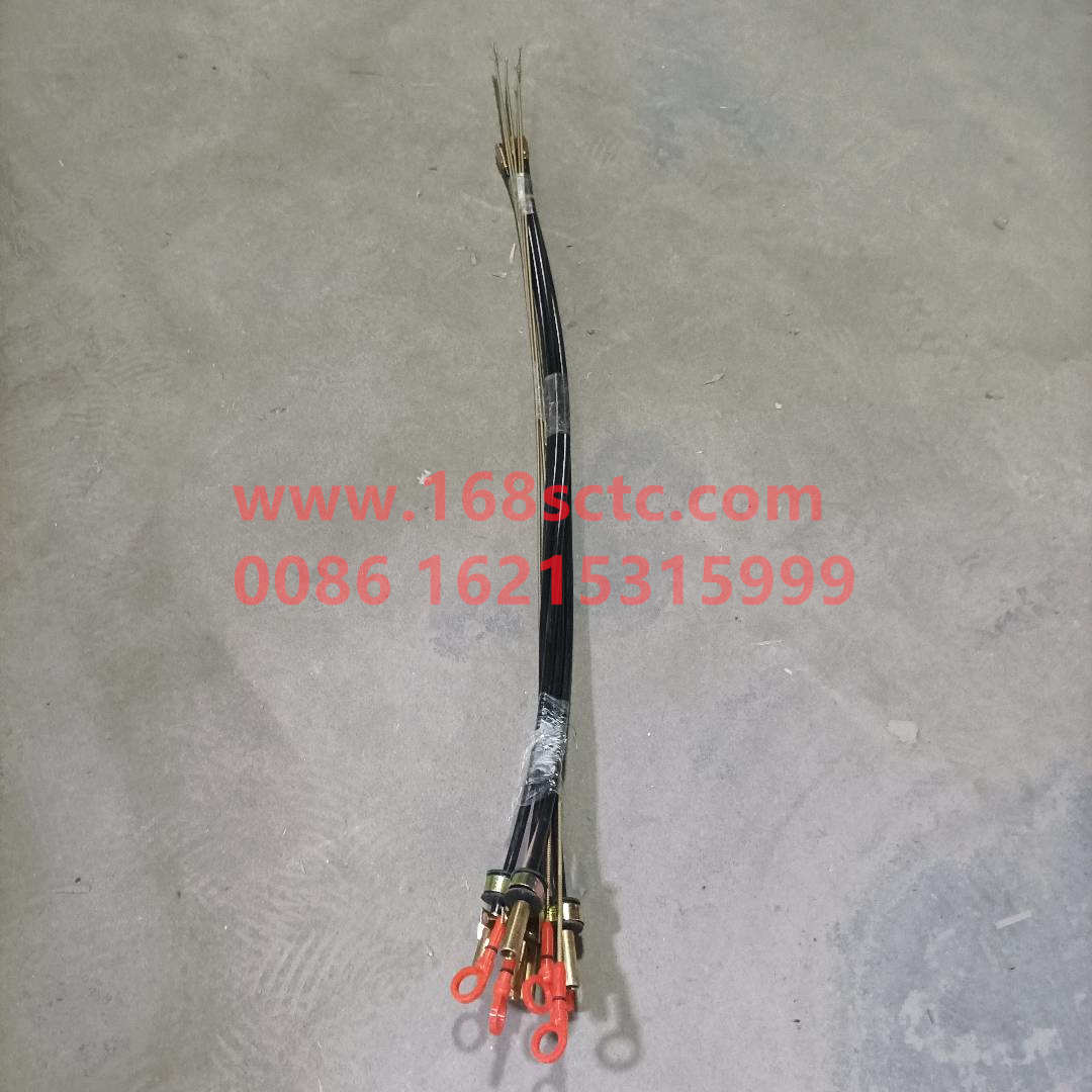 VG1246150001*