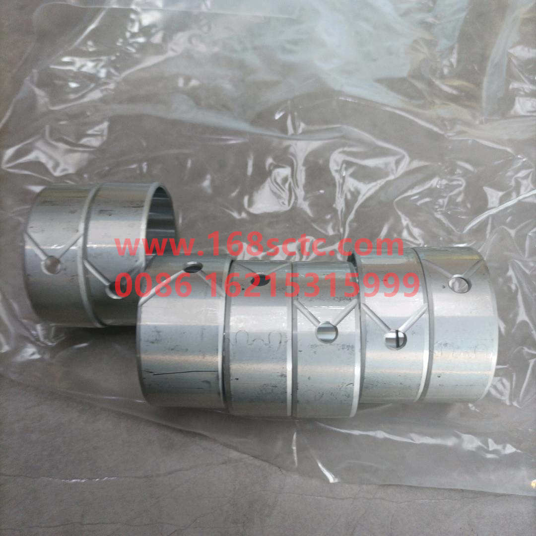 VG1096010010A*