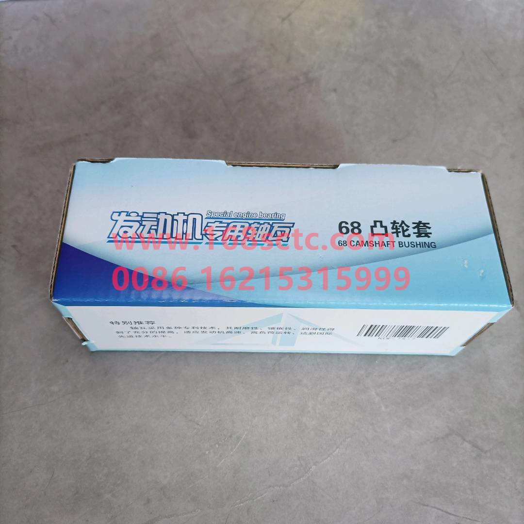 VG1096010010A*