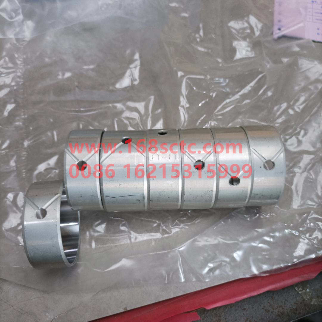 VG1096010010A*