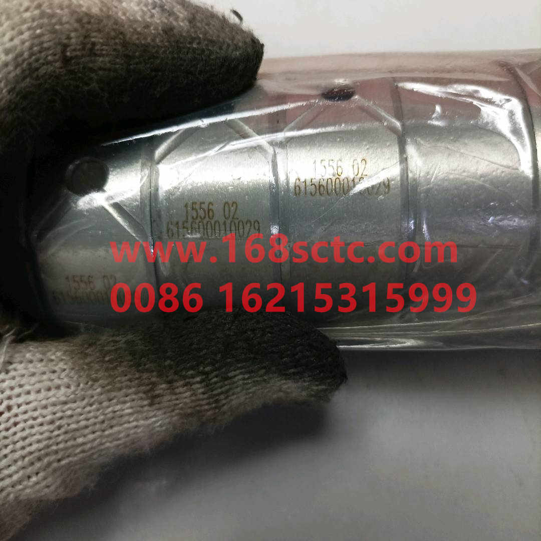 VG1096010010A*