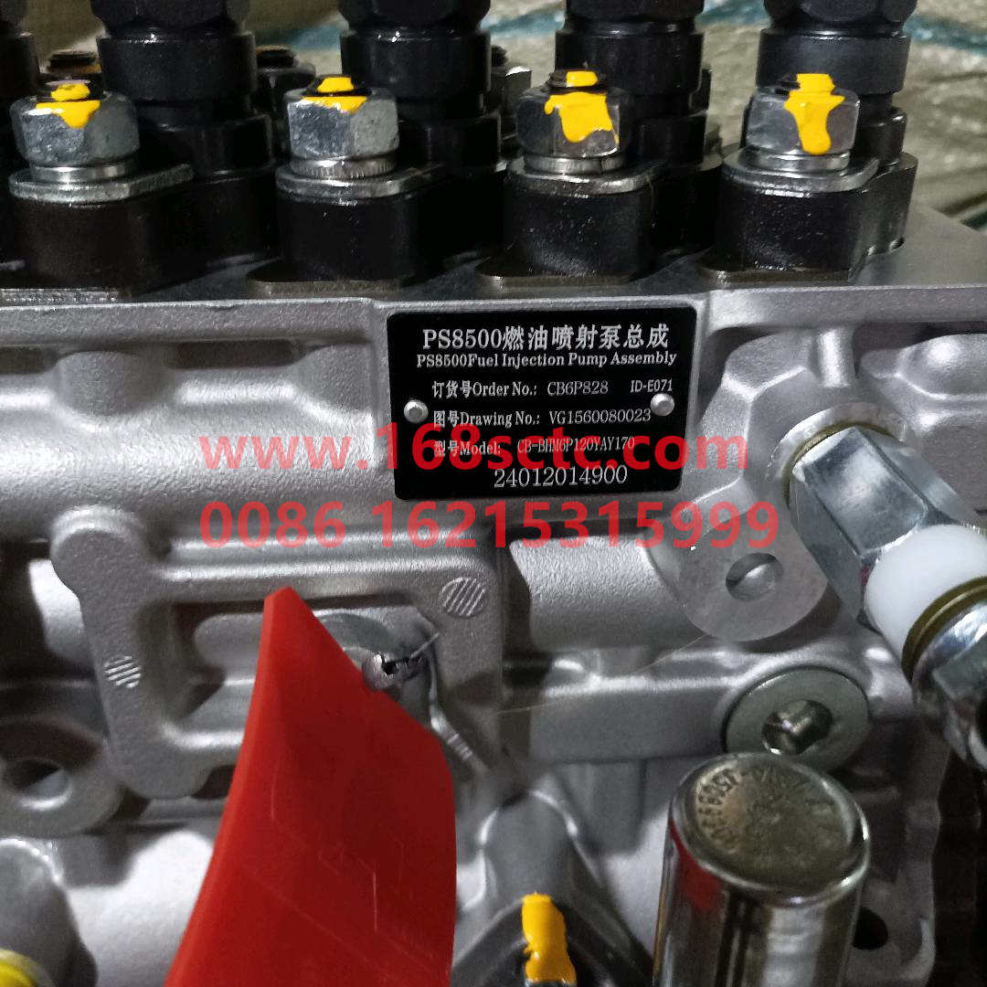 VG1560080023*