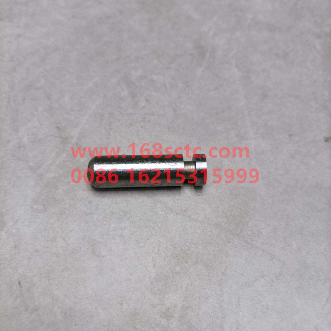 WG288320106