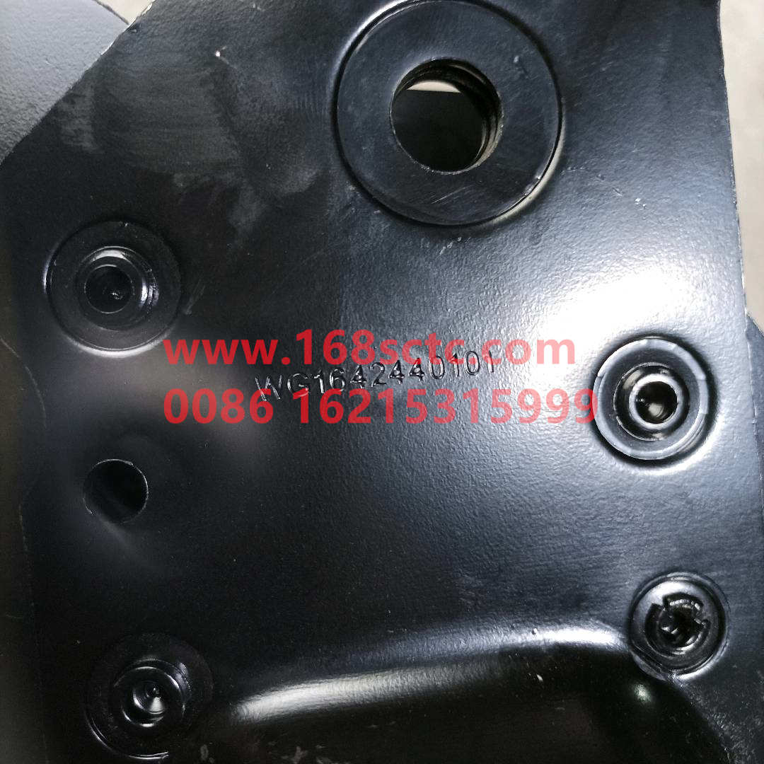 WG1642440101*