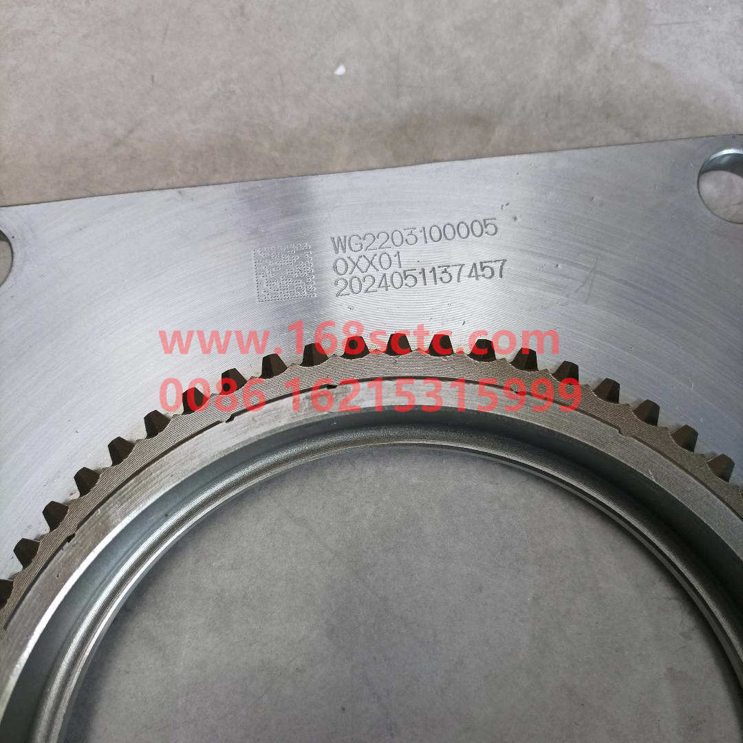 WG2203100005*
