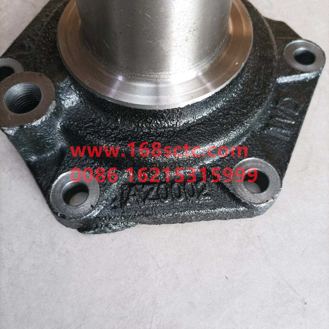 WG2203020002*