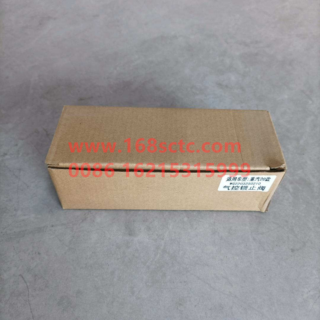 WG2203250210